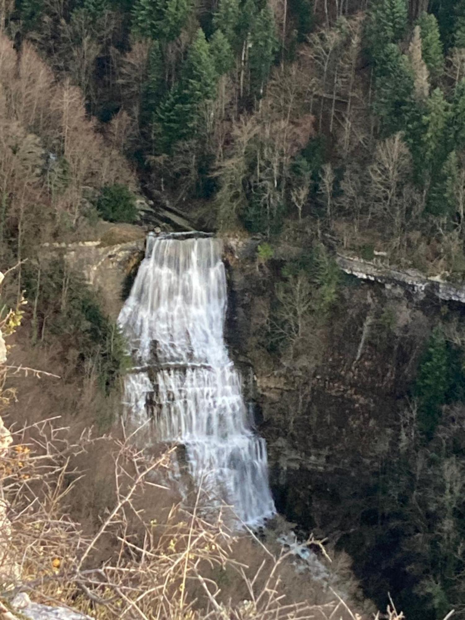 La P'Tite Maison Bois Du Herisson Menetrux-en-Joux ภายนอก รูปภาพ